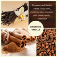Load image into Gallery viewer, Cinnamon Vanilla scented Soy Candle | Mica Collection