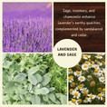 Load image into Gallery viewer, Lavender and sage Scented Soy Candle | Alma Collection