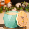 Load image into Gallery viewer, Lemon Fir scented Soy Candle | Aspen Collection