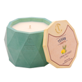 Load image into Gallery viewer, Lemon Fir scented Soy Candle | Aspen Collection