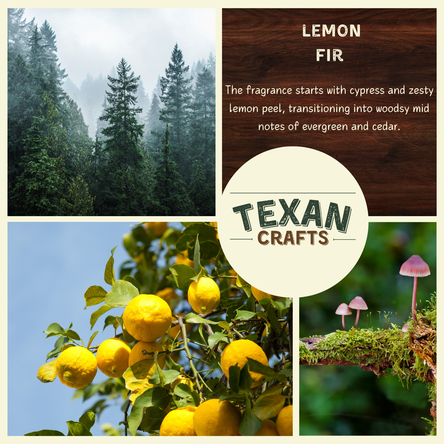 Lemon Fir