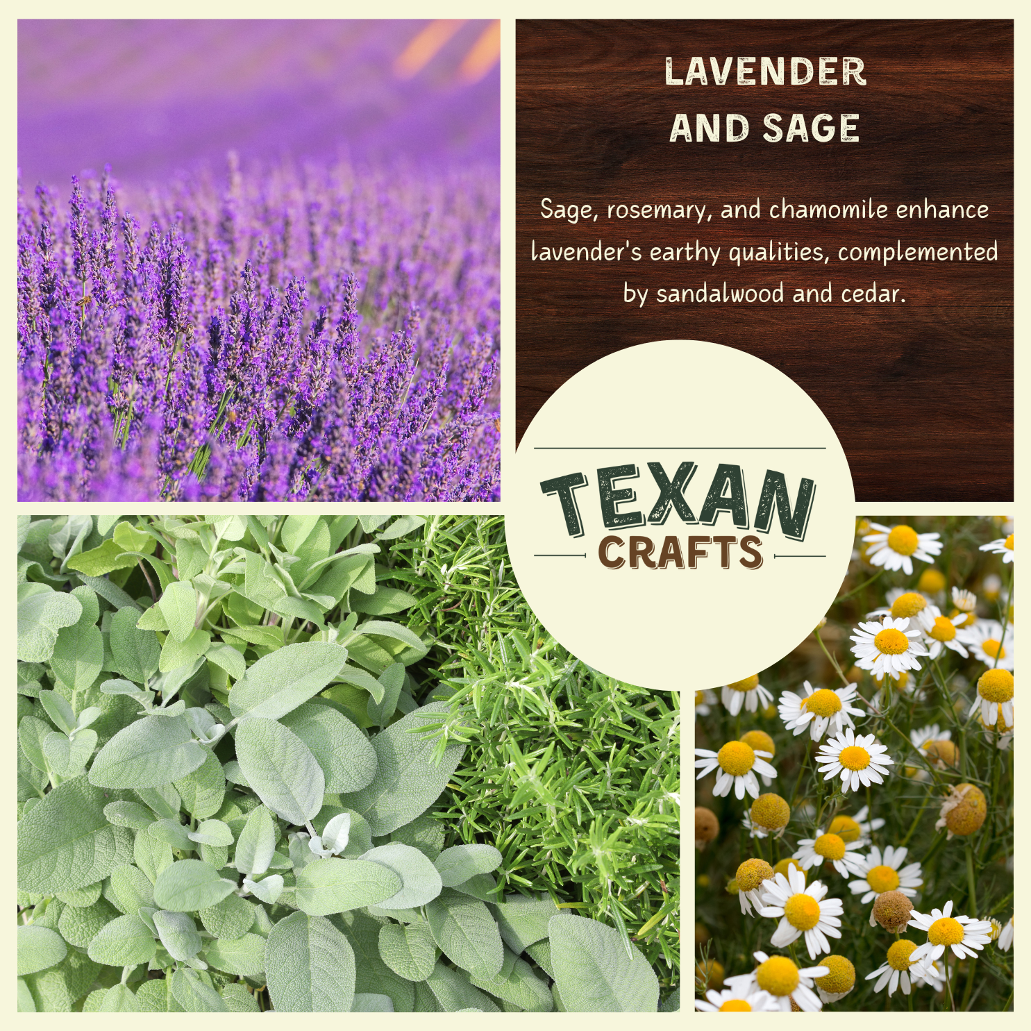 Lavender & Sage