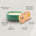 Load image into Gallery viewer, Alma collection Soy Candle | Lemon Fir Forest
