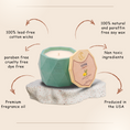 Load image into Gallery viewer, Aspen collection Soy Candle | Lemon Fir Forest
