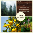 Load image into Gallery viewer, Lemon Fir scented Soy Candle | Mica Collection
