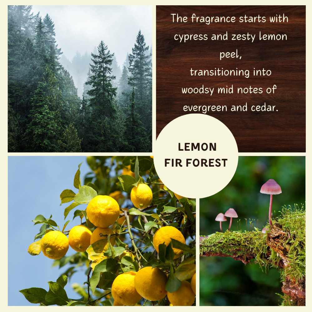 Lemon Fir scented Soy Candle | Mica Collection