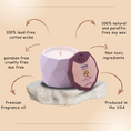 Load image into Gallery viewer, Coconut Santal scented Soy Candle | Aspen Collection
