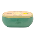Load image into Gallery viewer, Alma collection Soy Candle | Lemon Fir Forest
