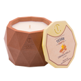 Load image into Gallery viewer, Cinnamon Vanilla scented Soy Candle | Aspen Collection

