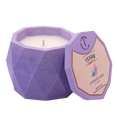 Load image into Gallery viewer, Lavender And Sage scented Soy Candle | Aspen Collection
