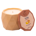 Load image into Gallery viewer, Baked Banana Bread scented Soy Candle | Aspen Collection
