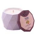 Load image into Gallery viewer, Coconut Santal scented Soy Candle | Aspen Collection
