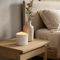 Load image into Gallery viewer, Coconut Santal scented Soy Candle | Mica Collection
